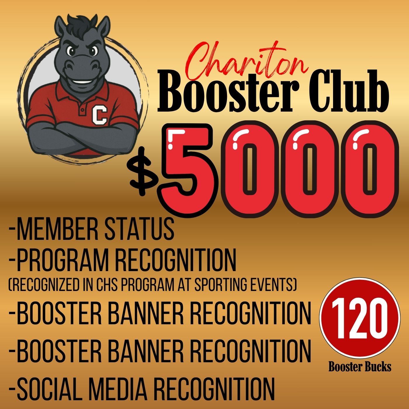 $5000 BOOSTER MEMBERSHIP