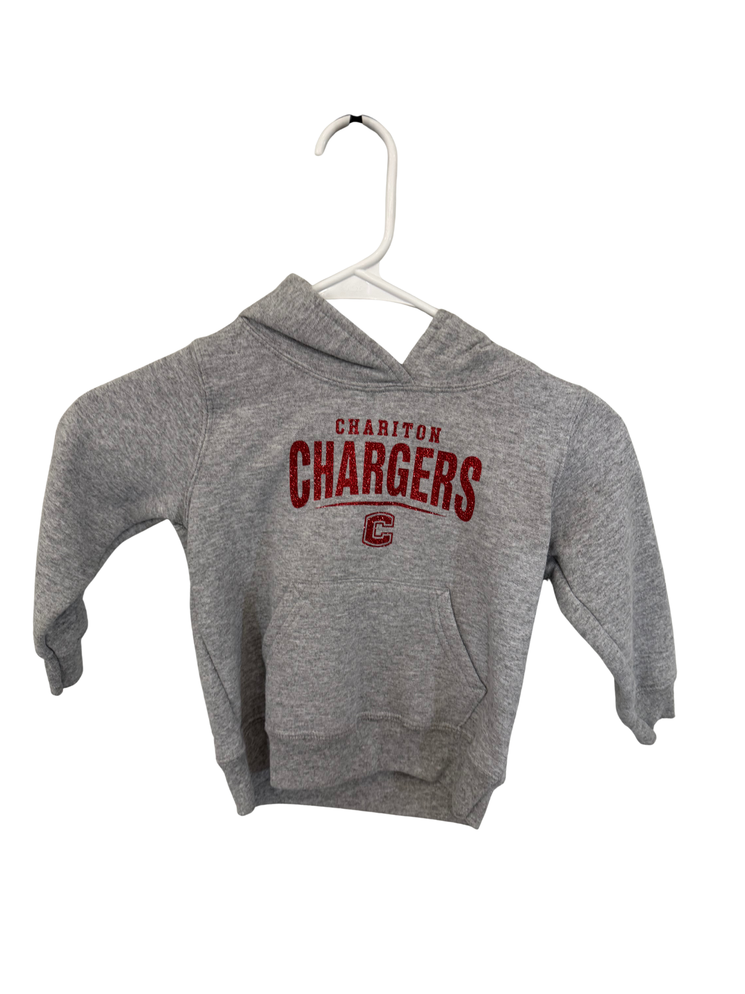 Youth Gray Hoodie (glitter)