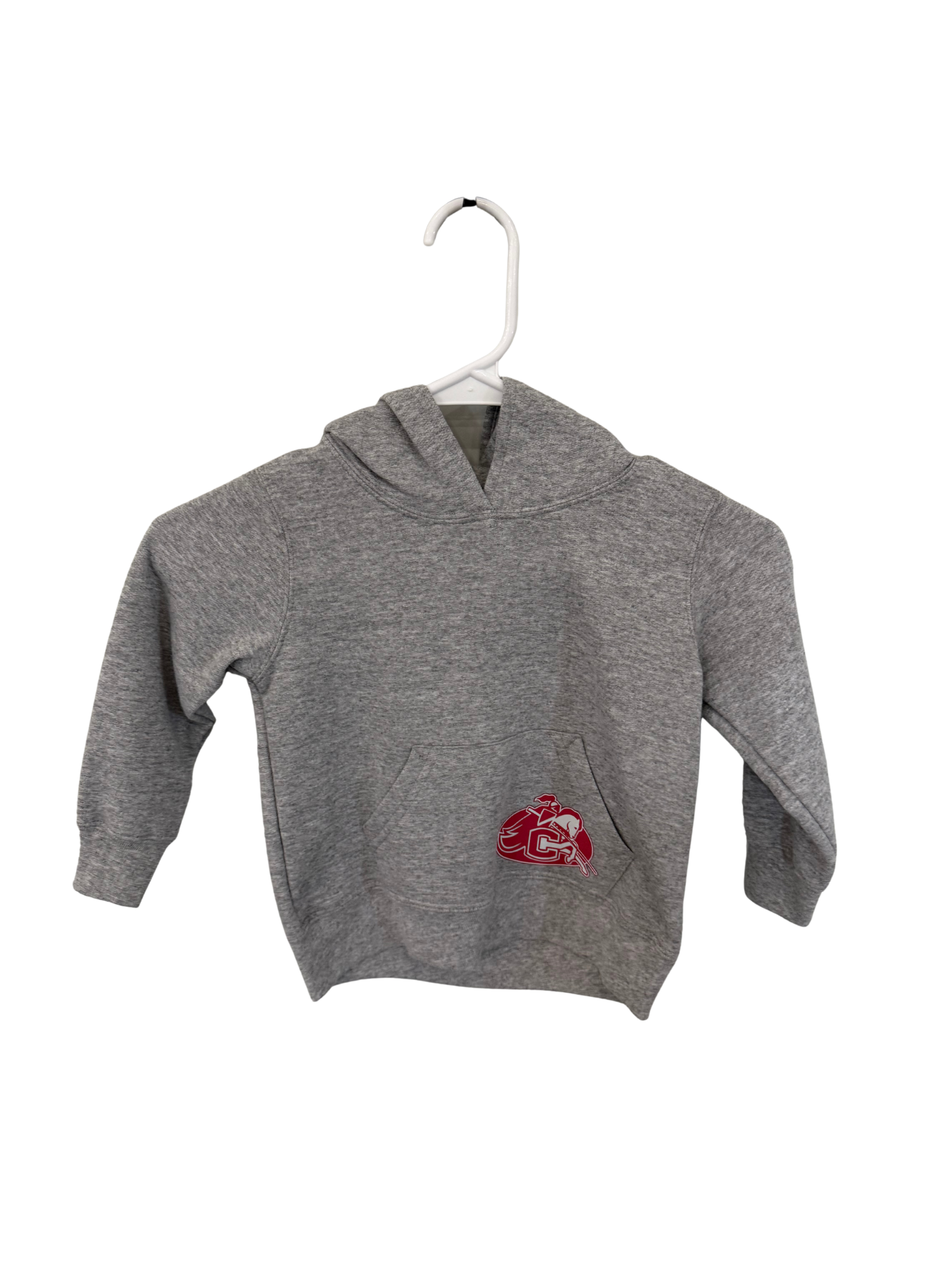 Youth Gray Hoodie